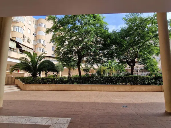 Piso en Calle Píndaro, 19, El Consul - El Romeral - Foto 34