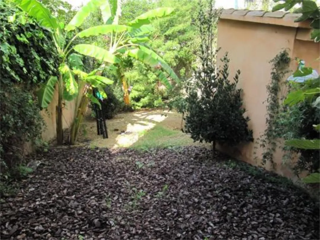 Loft en Cines Chaplin - Foto 8