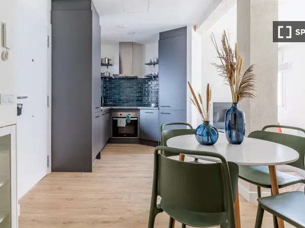 Estudio en Calle Pinos Alta, Ventilla-Almenara - Foto 2