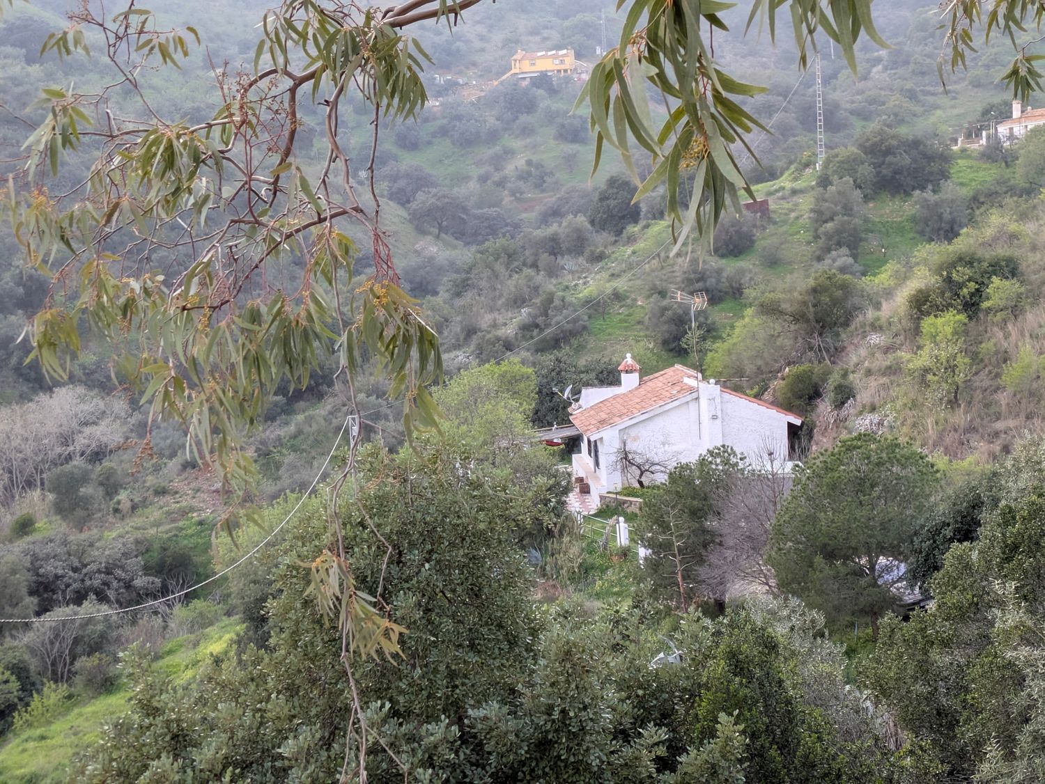 Finca rústica en Montes de Málaga s/n diseminado - Foto 3
