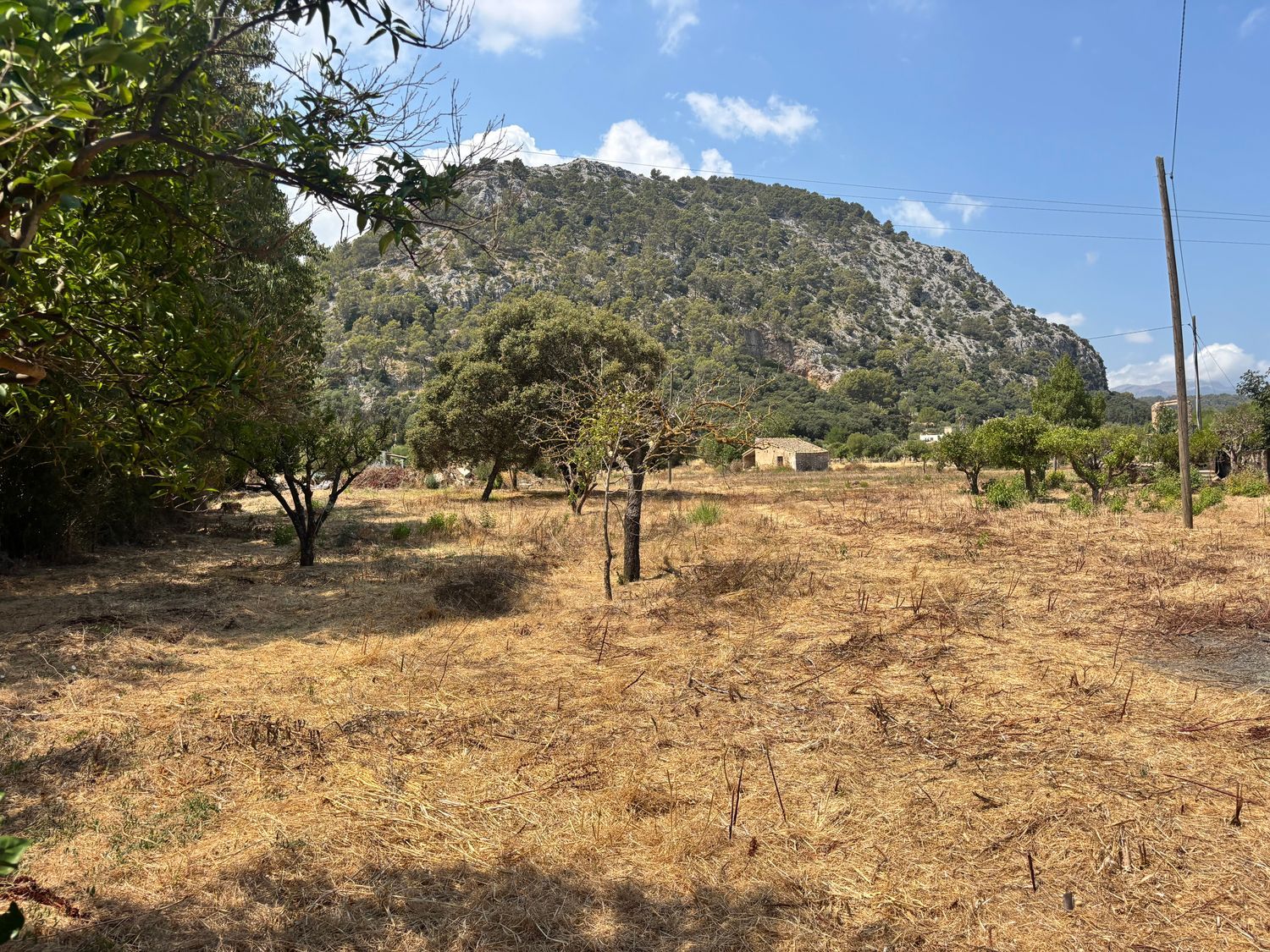 Finca rústica en Santuiri, 2 poligonoparcela, Pollença, Pollença - Foto 4
