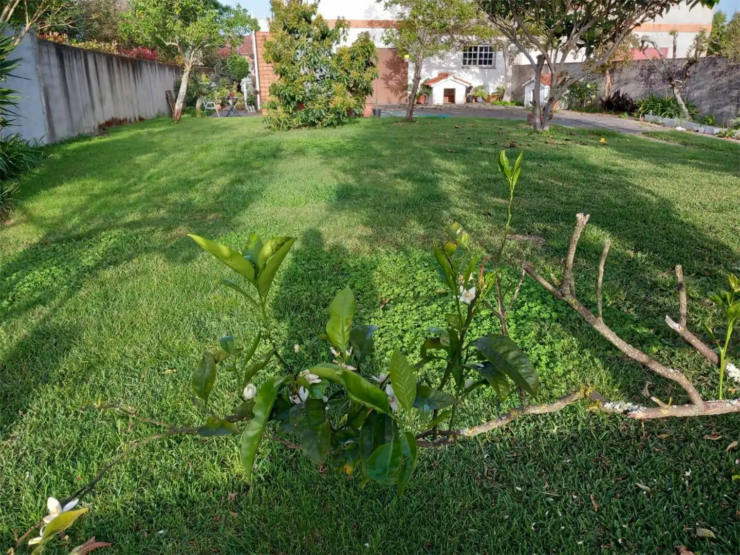 Piso en Nigrán - Foto 23