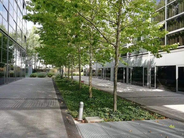 Dúplex en Calle Antonio Suarez, 10 - Foto 25
