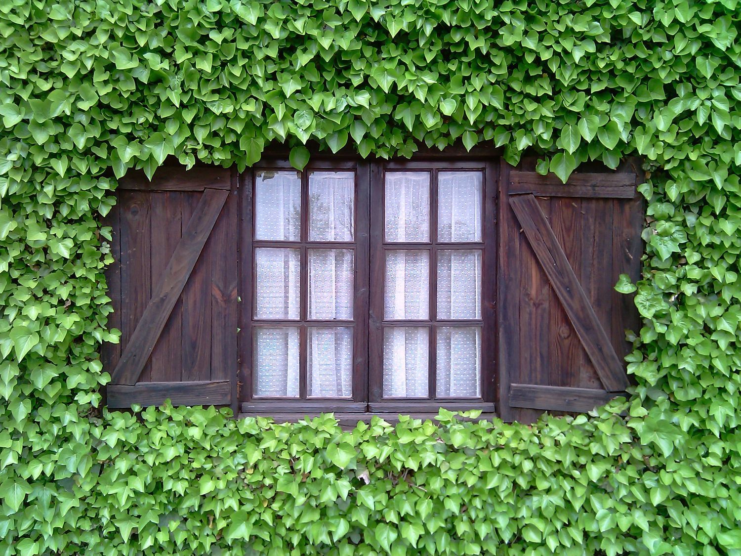 Chalet pareado en Barrio de Movera, 182 - Foto 1