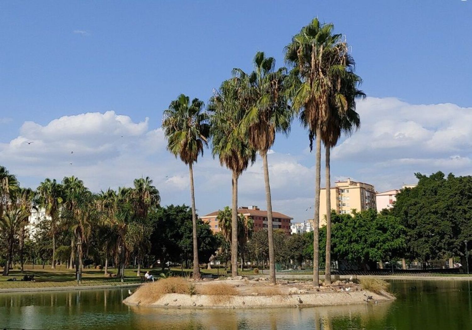 Piso en calle Fernán Núñez, 17 - Foto 15