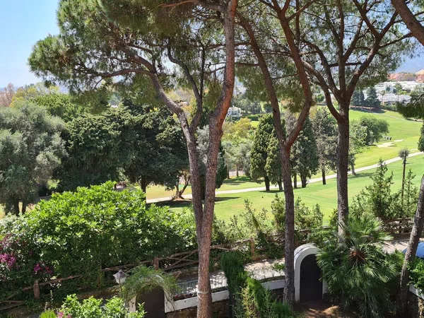 Chalet adosado en Urbanización Los Pinos de Aloha, 2 - Foto 28