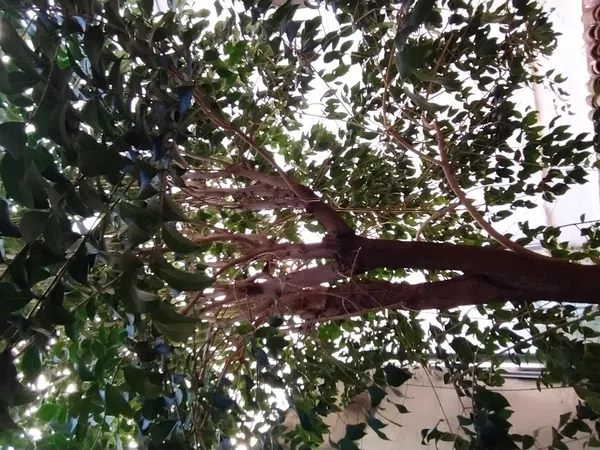 Estudio en calle del Ferro, 24 - Foto 4