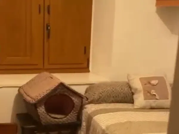 Casa de pueblo en Sn, 1, Villaviciosa, Villaviciosa - Foto 13