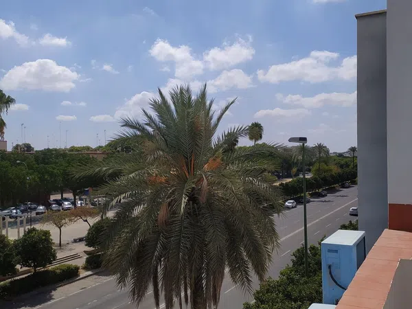 Piso en Calle Clemente Hidalgo, 48, Gran Plaza - Marqués de Pickman - Ciudad Jardín - Foto 32