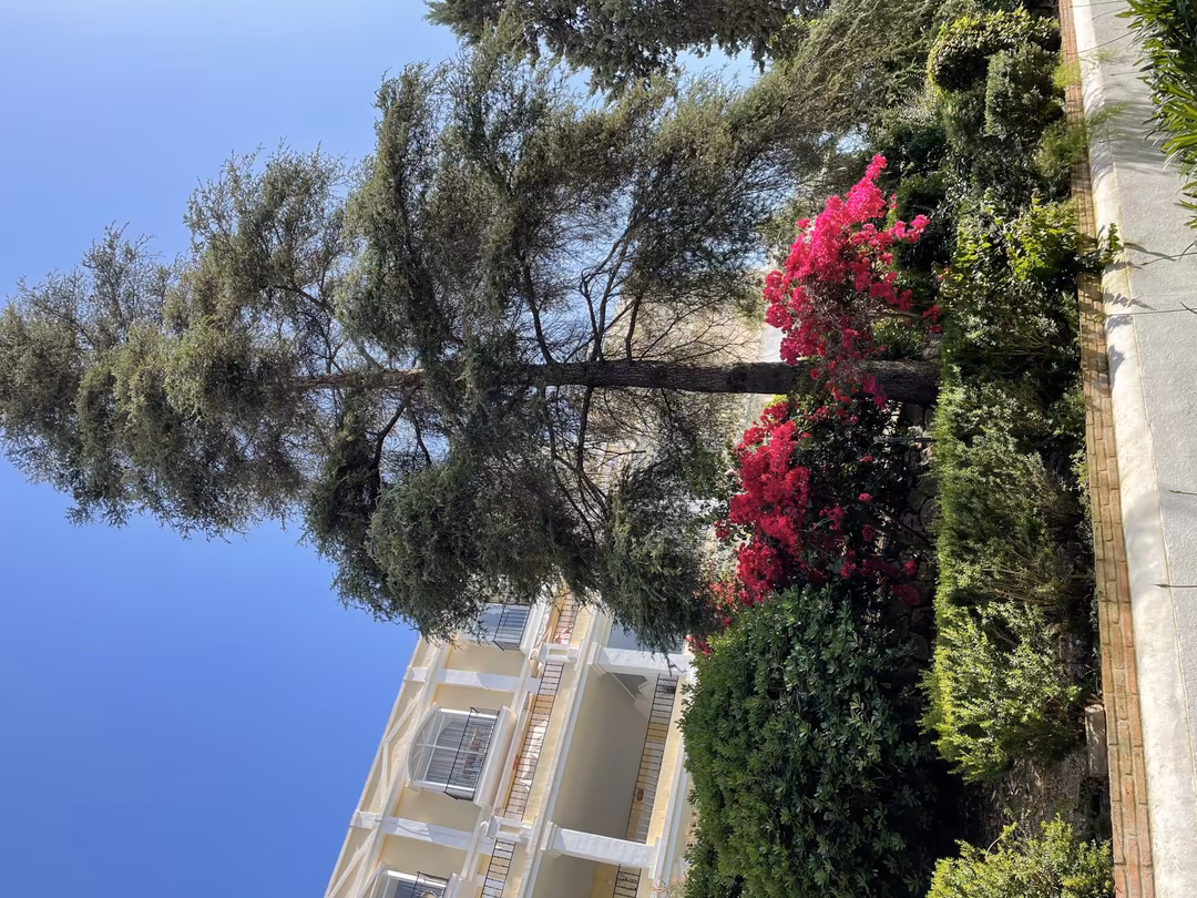 Piso en  Calle Viena 27-D 71 - Foto 19