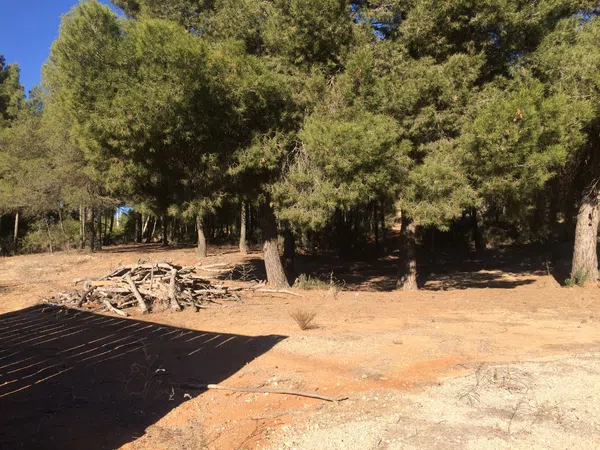 Casa o chalet independiente en A-91, 94, Zarcilla de Ramos-Doña Inés, Zarcilla de Ramos-Doña Inés - Foto 16