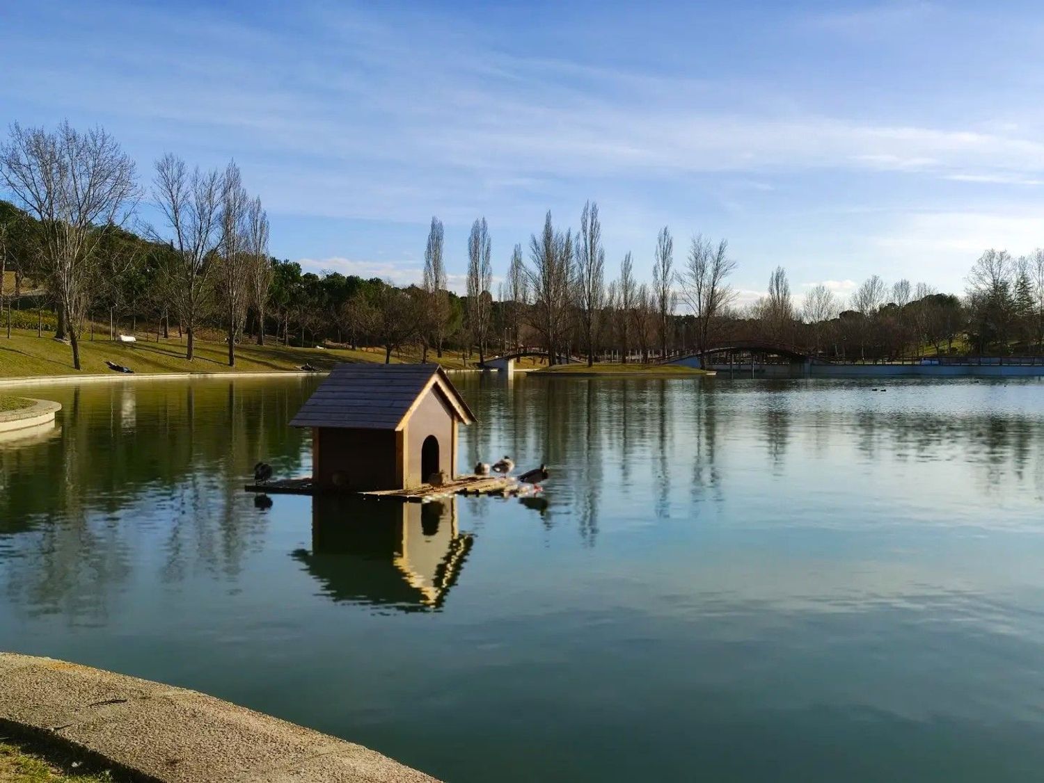 Piso en calle del Montón de Trigo, 5 - Foto 31