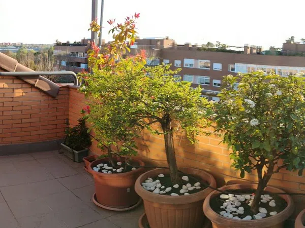 Dúplex en calle Picasso, 1 - Foto 35