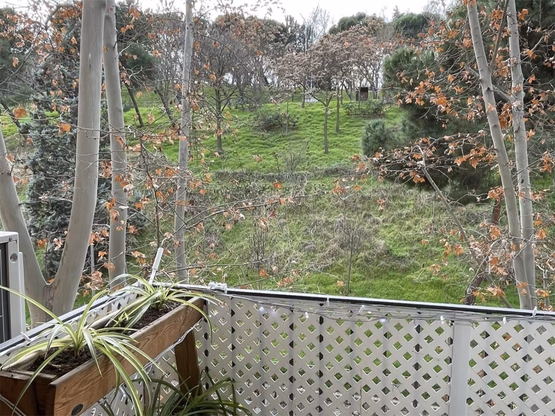 Piso en  Paseo de San Illán 21 - Foto 6