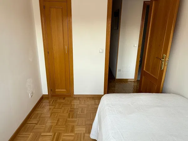 Piso en Calle Los Robles, 7, Prado de Santo Domingo - Foto 16