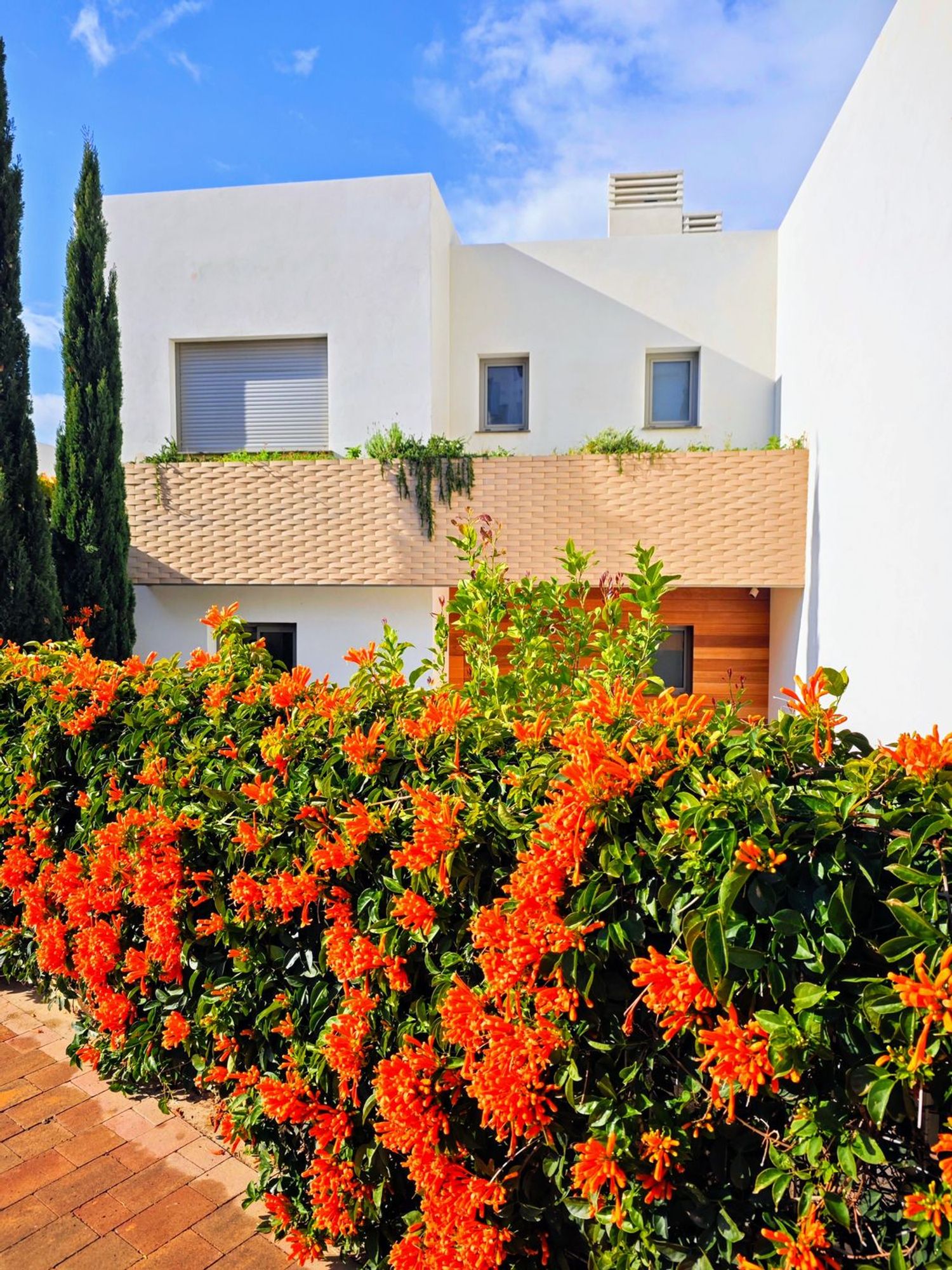 Chalet pareado en Calle Chirimoyo, 6, Mijas Pueblo, Mijas Pueblo - Foto 10