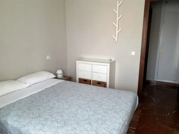 Piso en Avenida de Ramón y Cajal, 6, Prado de San Sebastián - Ramón Carande - Foto 7