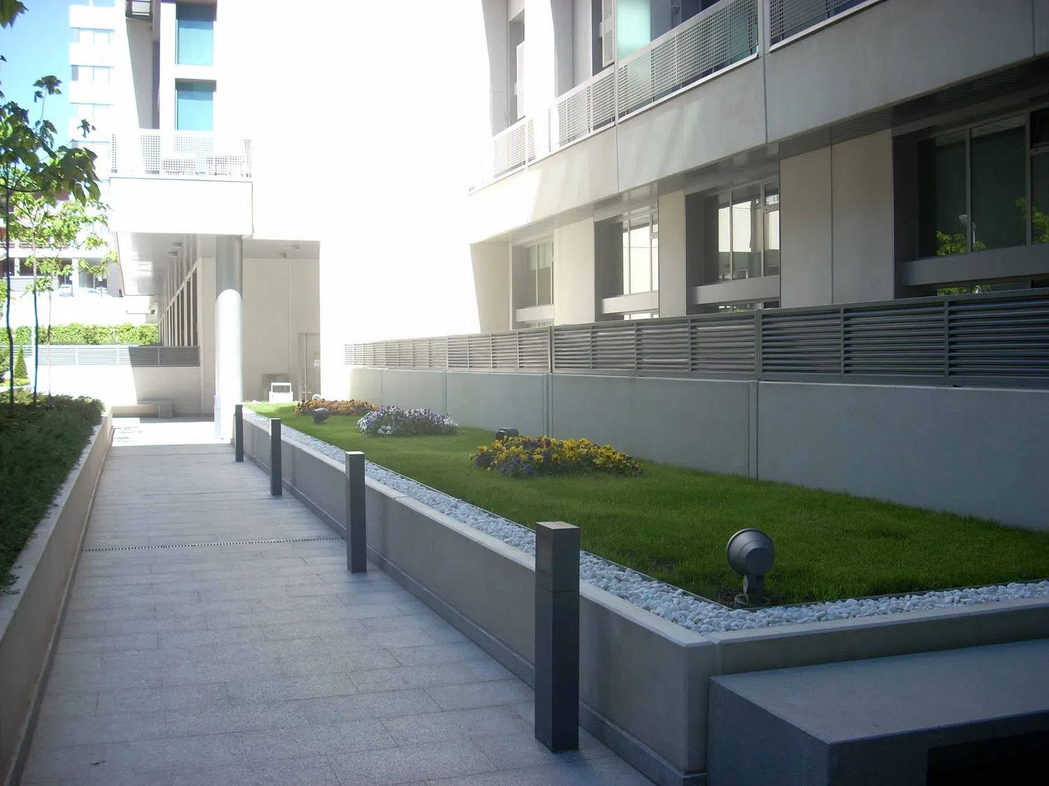 Estudio - Foto 33