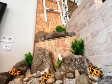 Piso en  Rúa Espírito Santo 14 - Foto 8