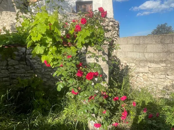 Casa de pueblo en Calle Puríssima, 11 - Foto 22