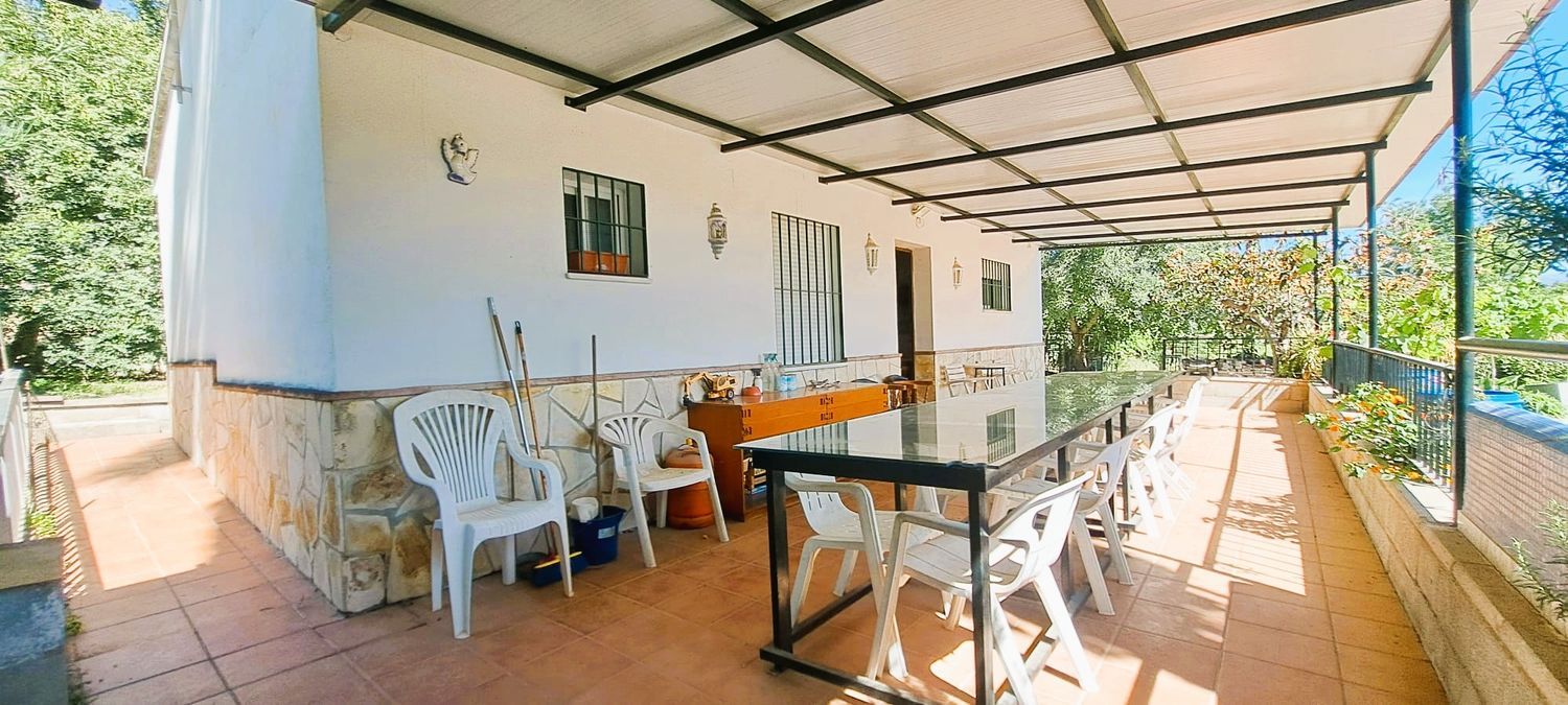 Casa o chalet independiente en Doña Ana, 195, Estación, Estación - Foto 19