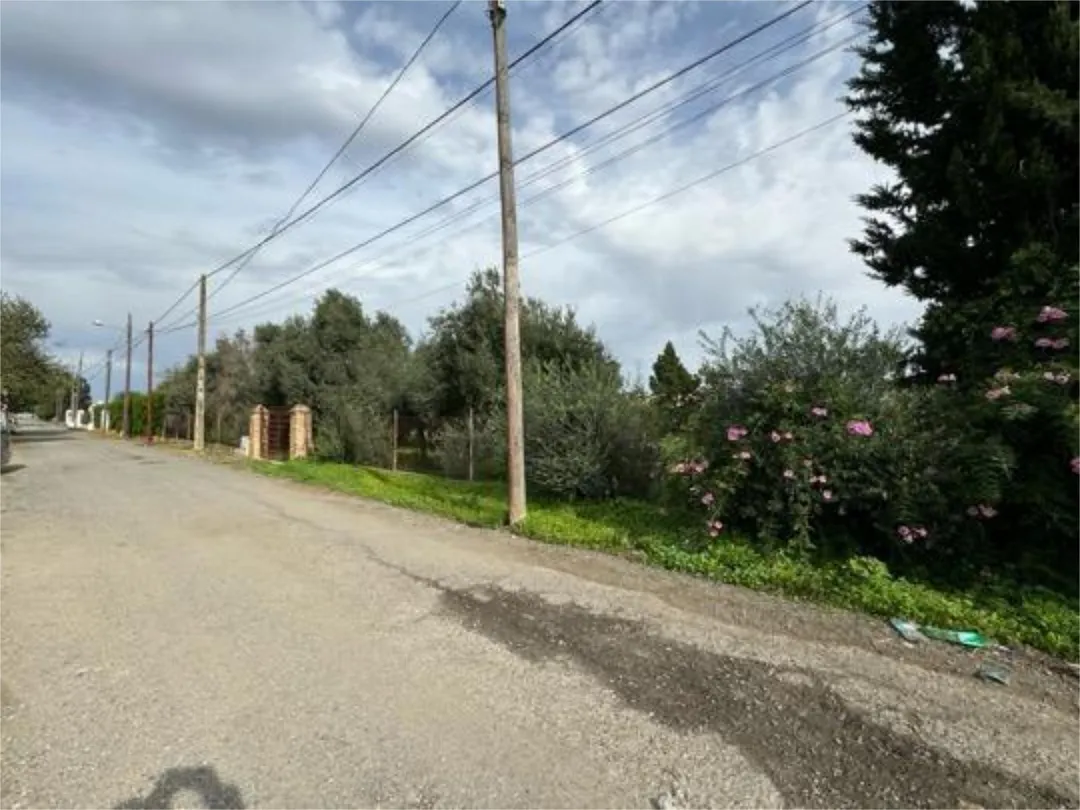 Chalet en Aeropuerto Viejo - Foto 1