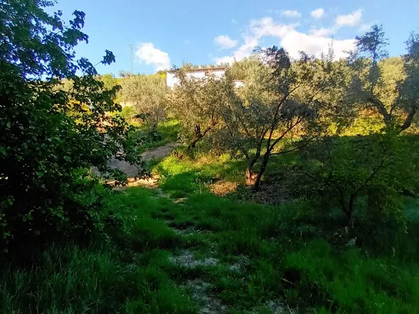Cortijo en Cortijo en Calle Antonio Machado s/n - Foto 7