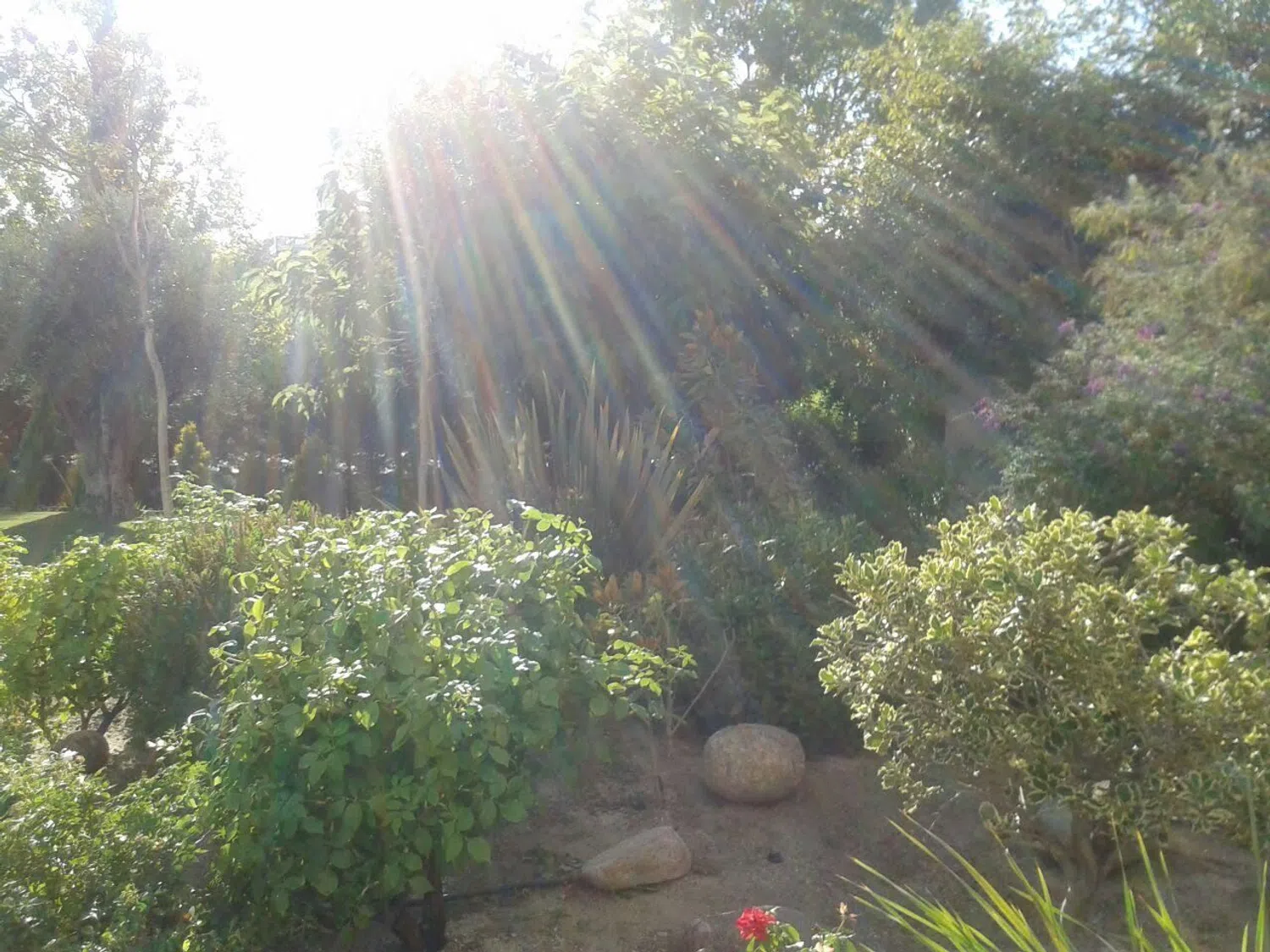 Piso en calle María Moliner, 15 - Foto 5