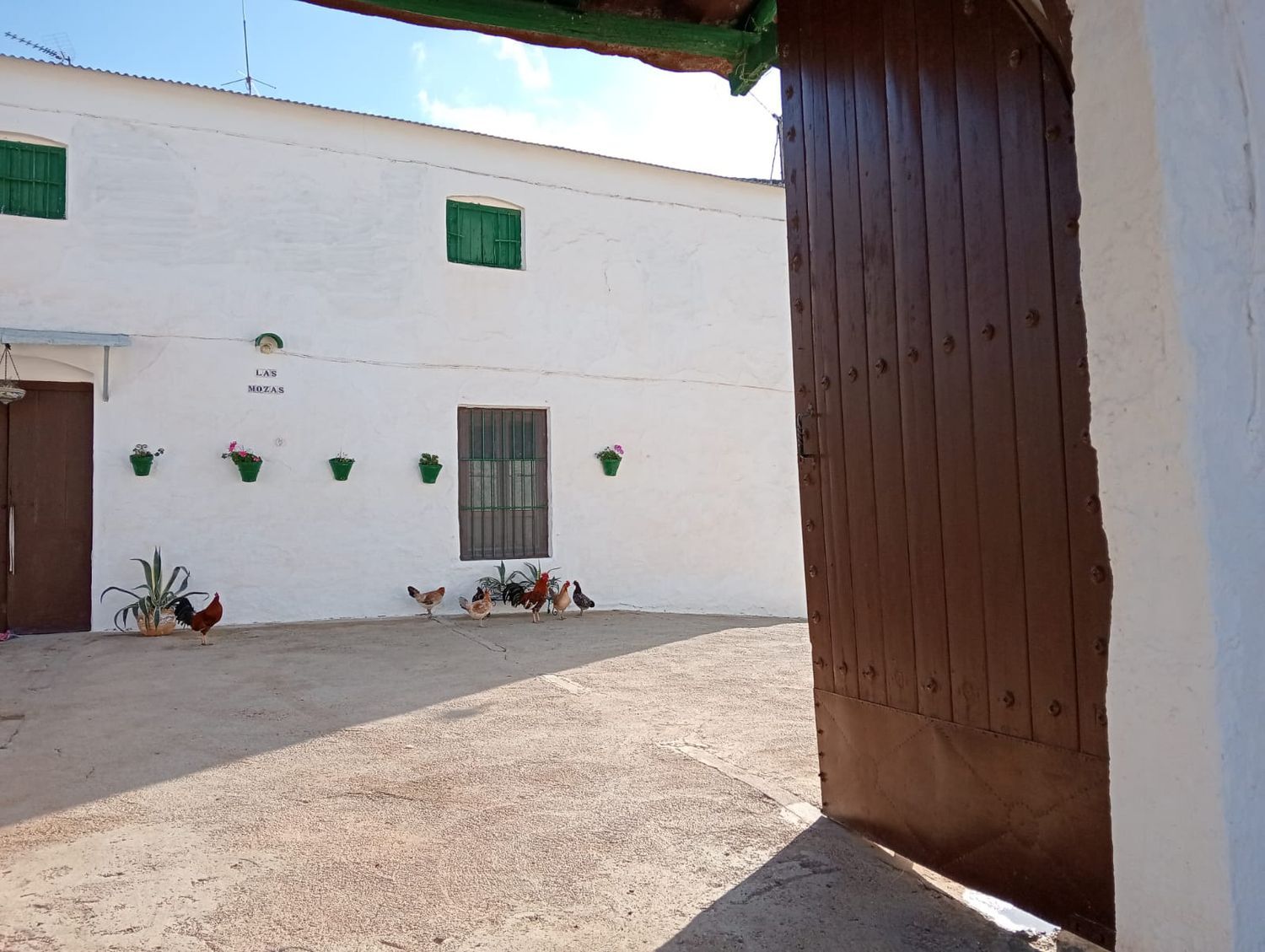 Cortijo en Cortijo en Paraje Santa Cruz, 98 - Foto 5