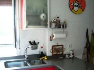 Piso en  Avenida de Don Marcelo Celayeta 44 - Foto 4