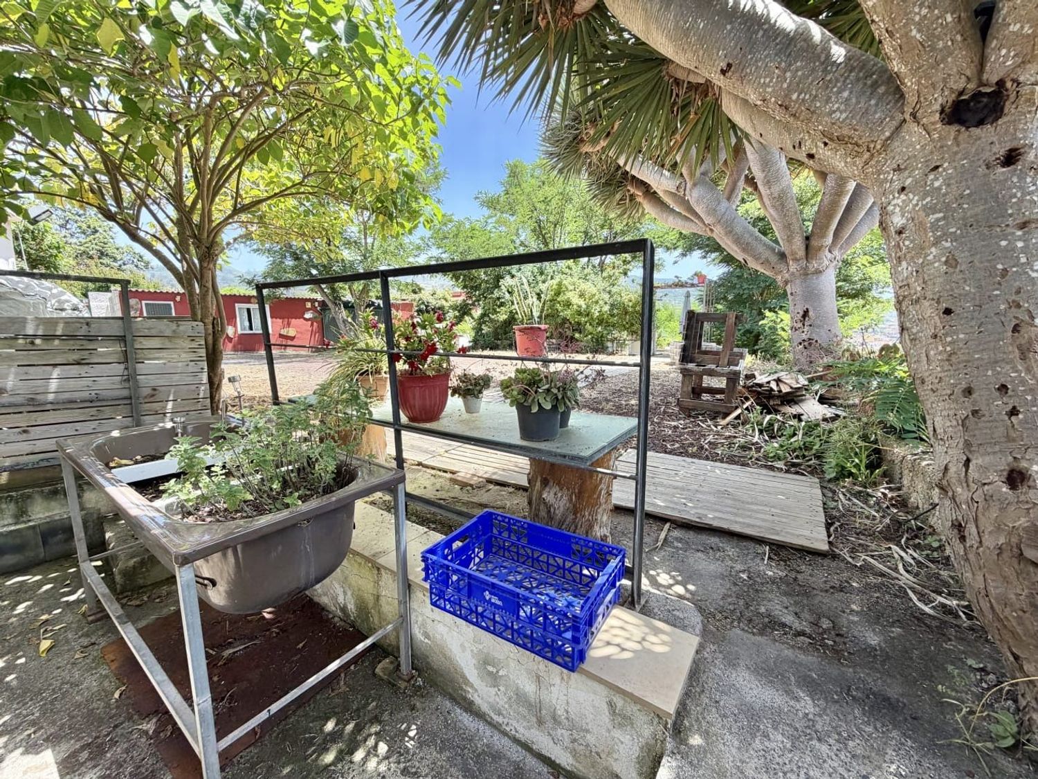 Casa o chalet independiente en Calle Juan Perez, 55, Tacoronte - Los Naranjeros, Tacoronte - Los Naranjeros - Foto 30