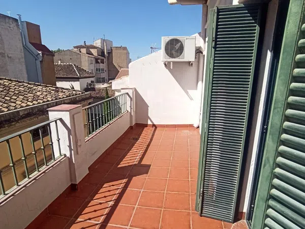 Ático en Calle Horno de Haza, 4, Jardín Botánico - Foto 11