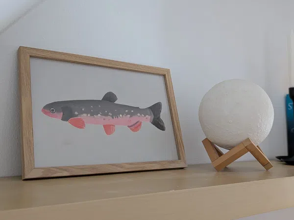 Piso en calle de Sant Magí, 7 - Foto 5