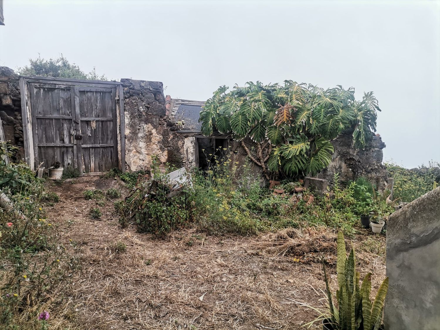 Finca rústica en Camino el Risco, 57, La Vega-El Amparo-Cueva del Viento, La Vega-El Amparo-Cueva del Viento - Foto 13