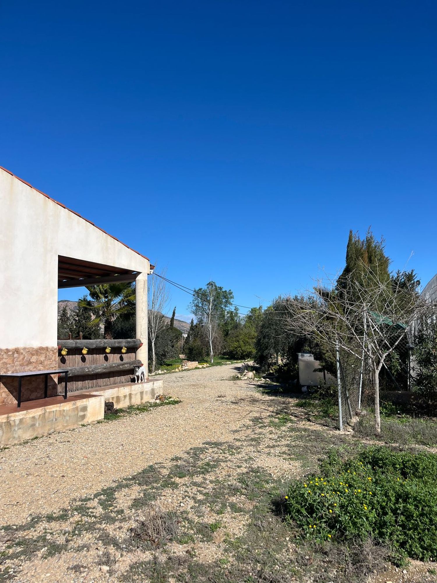 Casa o chalet independiente en Camino Hondo, 115 - Foto 18