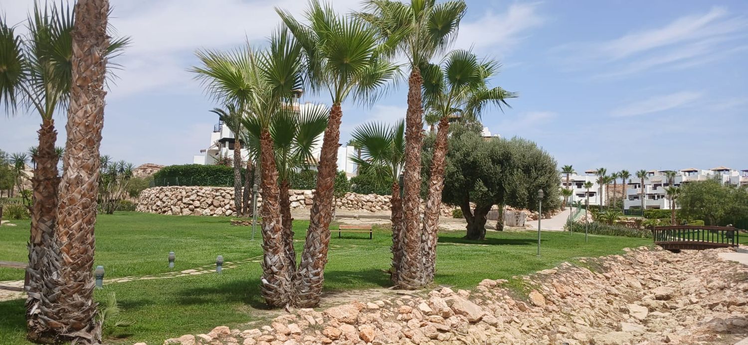Ático en Avenida Alcazaba, 115, Las Salinas, Las Salinas - Foto 27