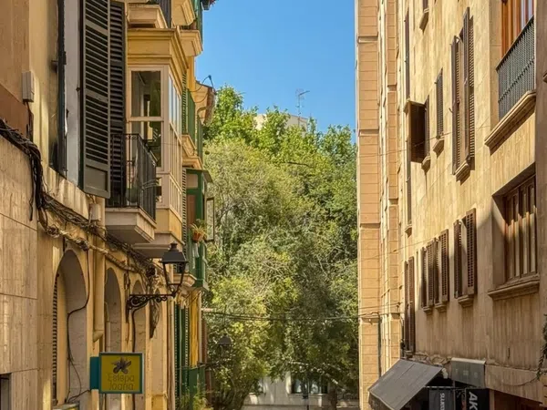 Estudio en Calle del Vi, 20, La Llotja - Foto 21