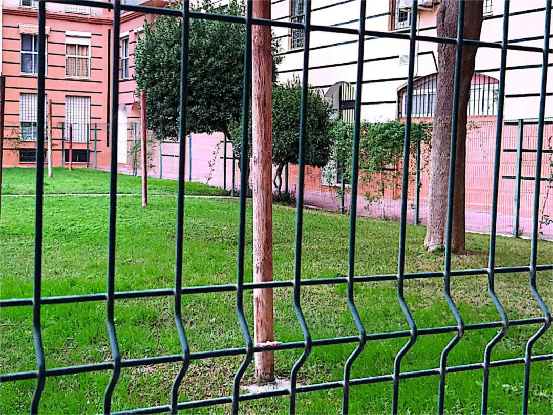 Piso en  Avenida de las Ciencias 33 - Foto 21