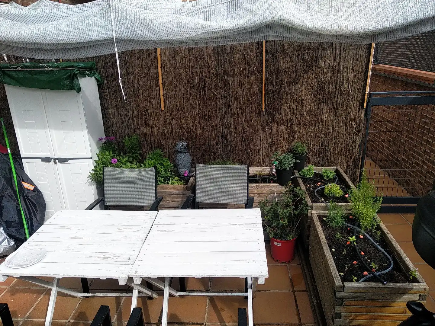 Apartamento en  Avenida Séptima 34 - Foto 20