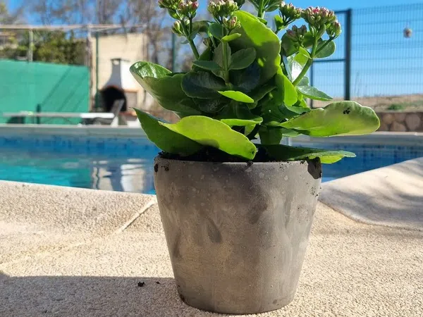 Casa independiente en sector 2b, 2 - Foto 13