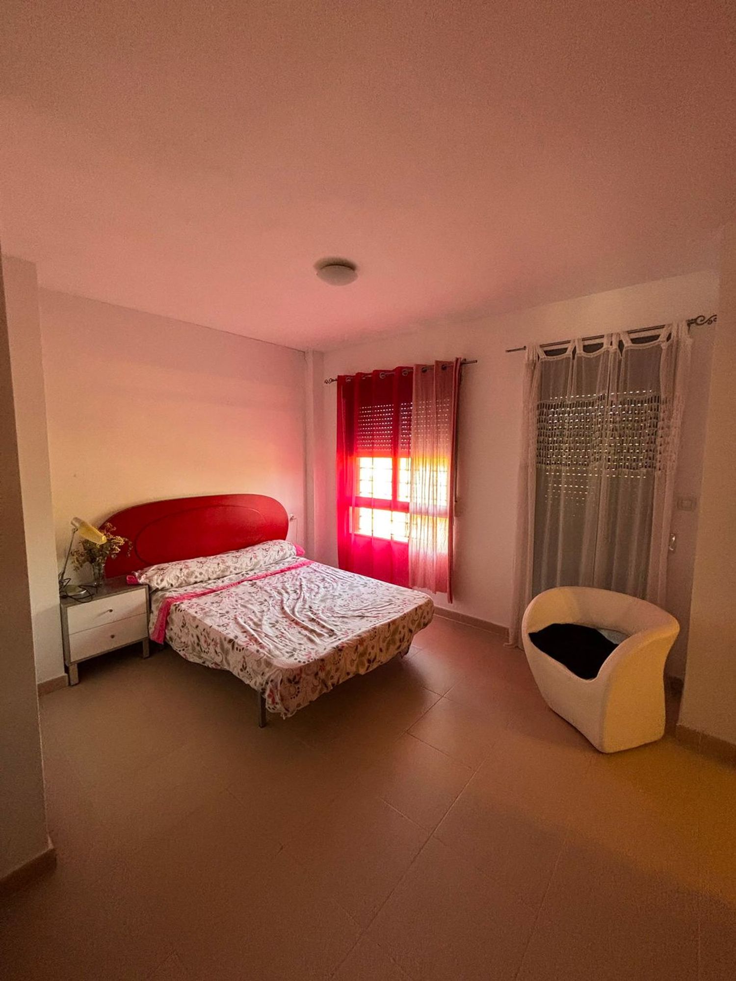 Casa o chalet independiente en Avenida Región de Murcia, 89, Guadalupe - Foto 3