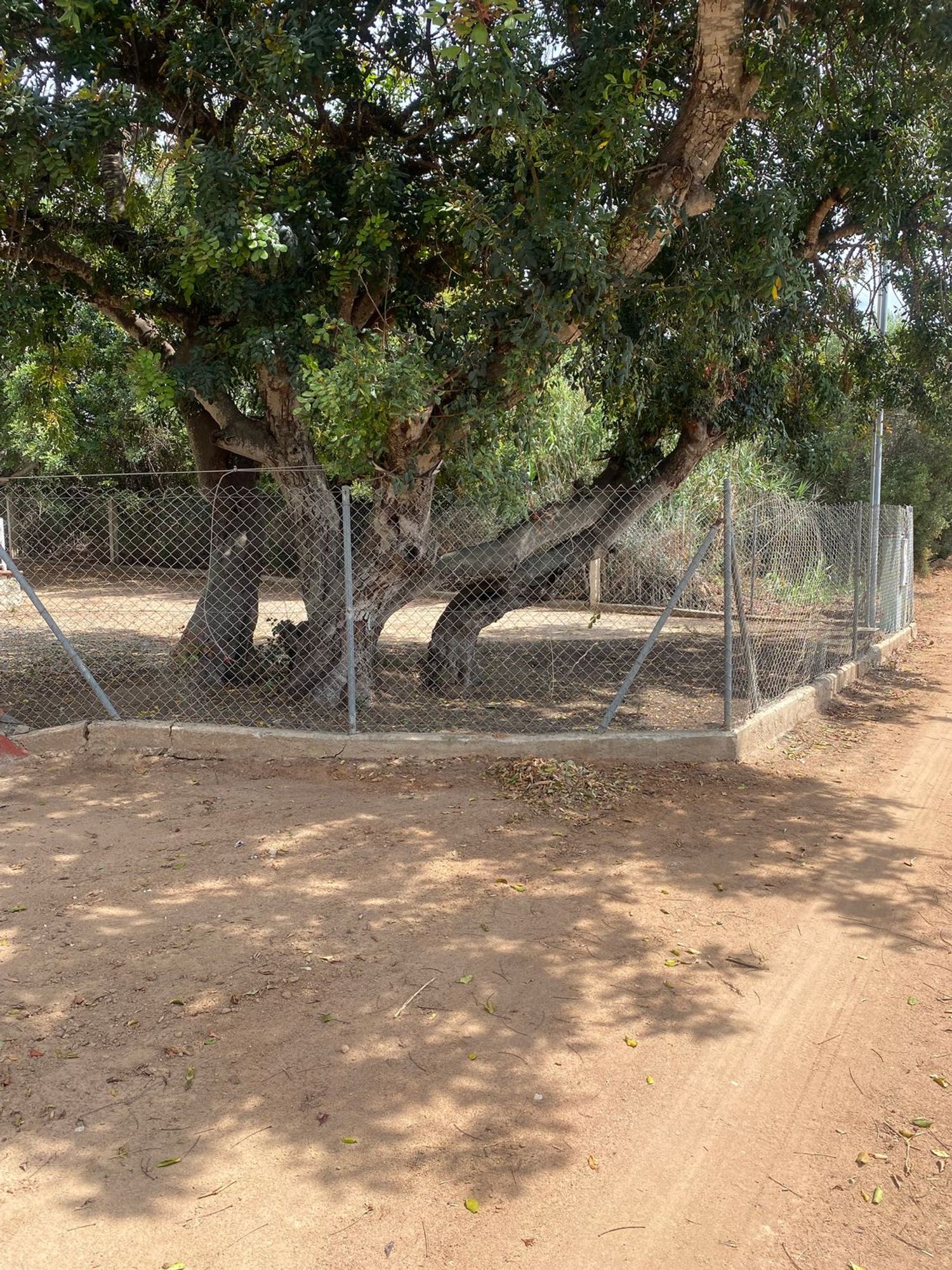 Finca rústica en Avenida Diputación 62, 62, Vilafortuny platja - Foto 3