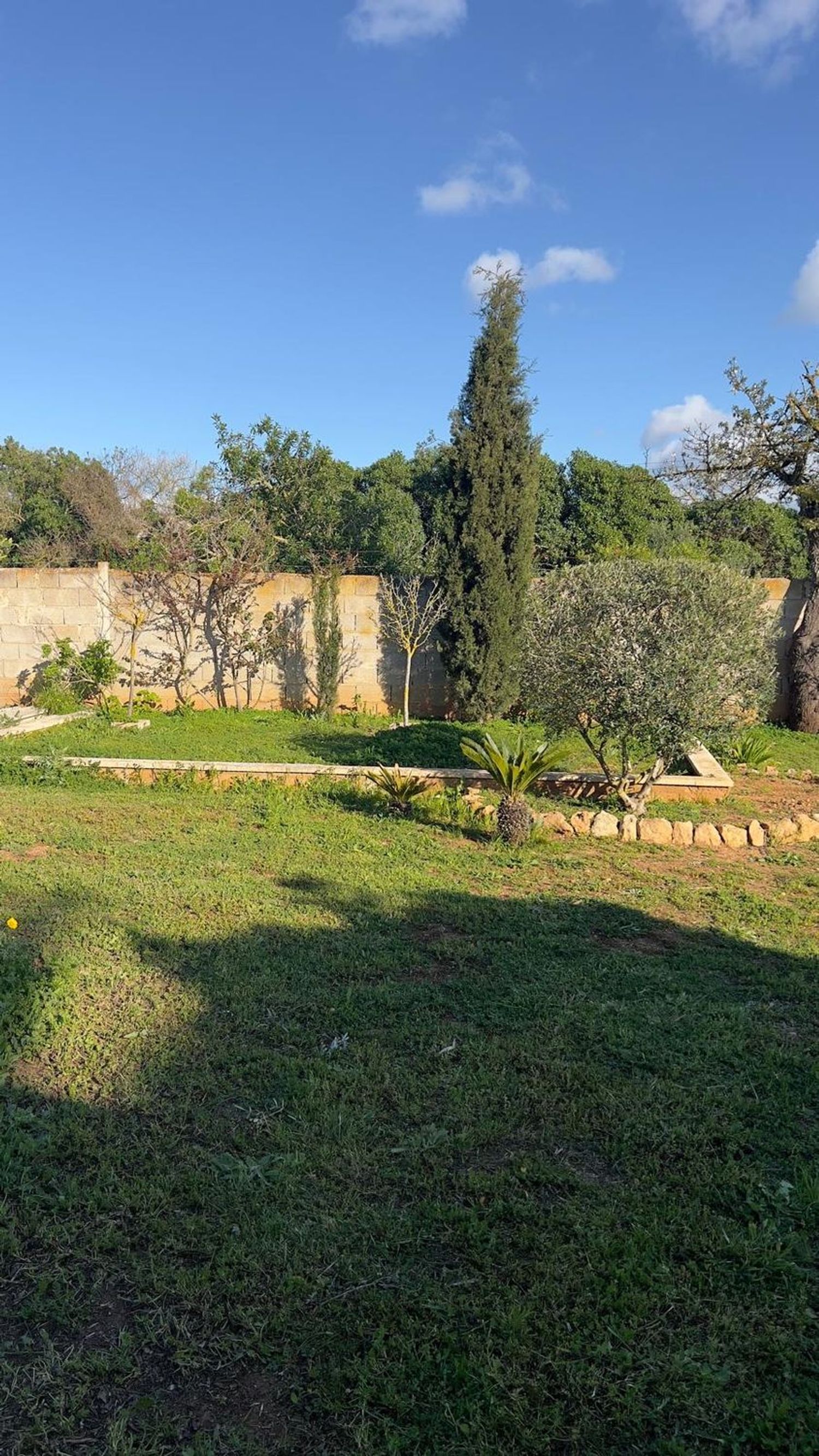 Casa independiente en Llucmajor Interior - Foto 12