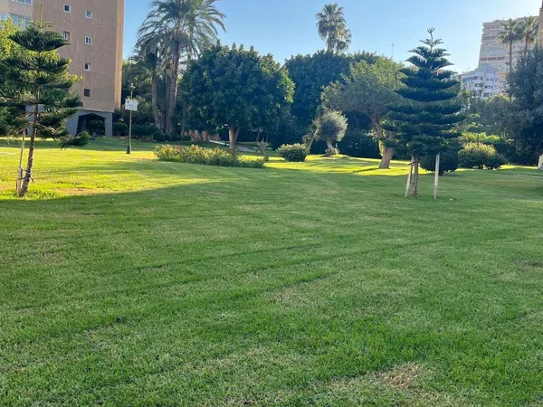 Piso en Avenida de Playamar, 70, Playamar - Benyamina - Foto 27