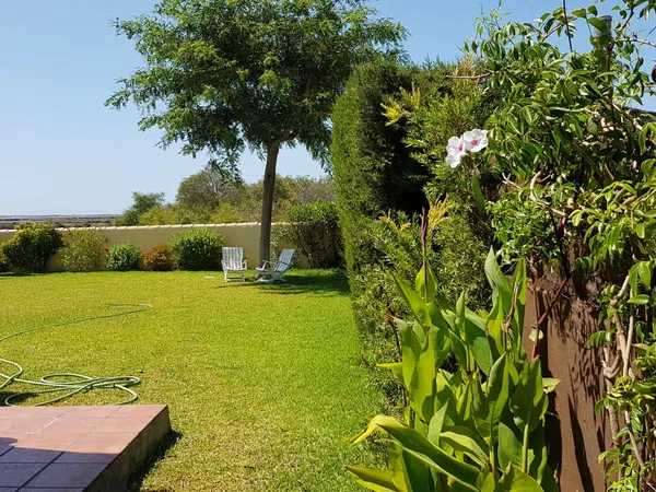 Casa independiente en calle Codorniz, 510 - Foto 23