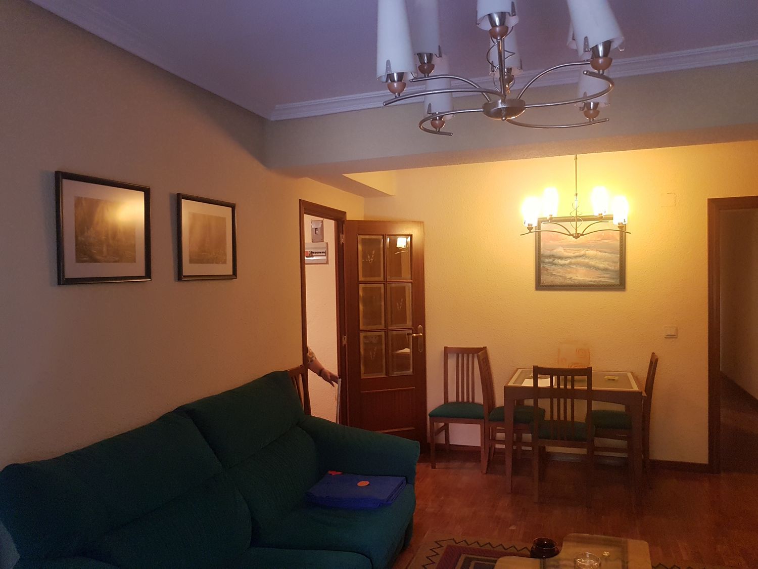 Piso en paseo del Doctor Torres Villarroel, 51 - Foto 7