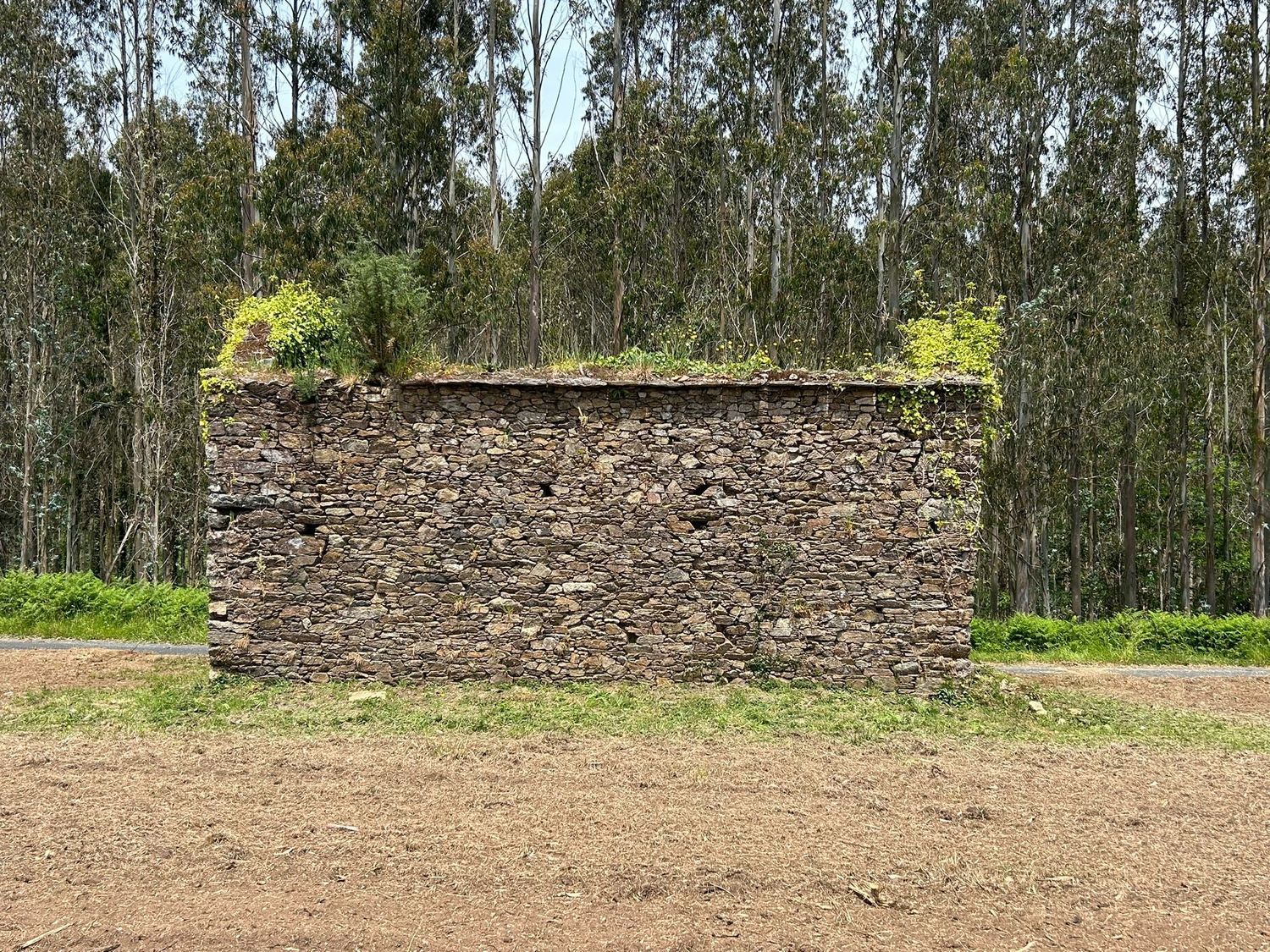Casa rural en Camino Sen Nome s/n - Foto 8