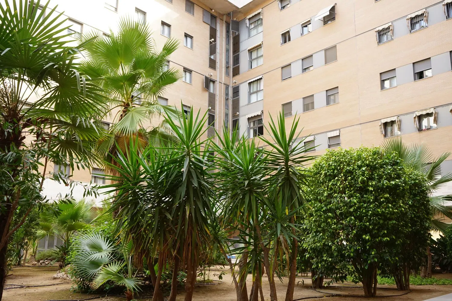 Piso en calle Camilo José Cela, 1 - Foto 15