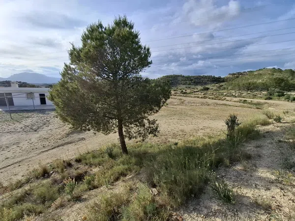 Casa rural en Ptda El Espino s/n - Foto 3