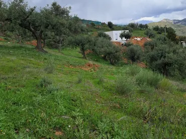 Finca rústica en  Diseminado el Cerval Pol 15 34B - Foto 8